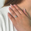 THE GOLDEN PROMISE BUNDLE