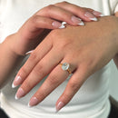 THE GOLDEN PROMISE BUNDLE