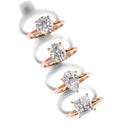 THE ROSE ROMANCE BUNDLE