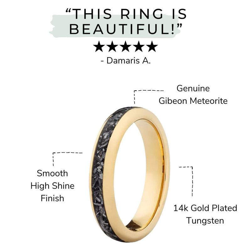 a Gibeon meteorite band illustration and specs