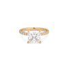 THE OLIVIA PAVE