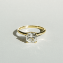 THE CLARA GOLD